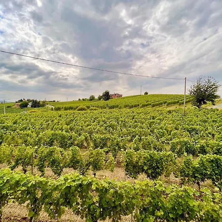 ヴィラ Bricco 46 *